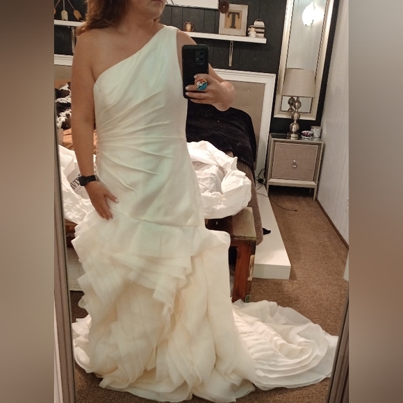 Ivory Organza White by Vera Wang for David's bridal - Picture 14 of 16